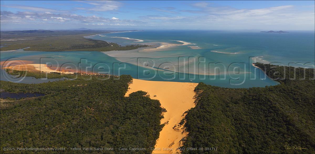 Peter Bellingham Photography Yellow Patch Sand Dune - Cape Capricorn - Curtis Island - QLD (PBH4 00 18171)